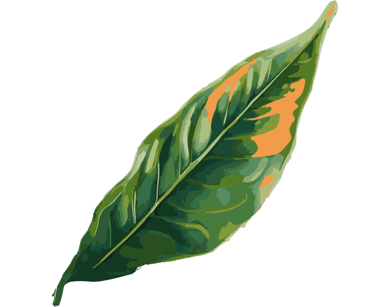 faq leaf