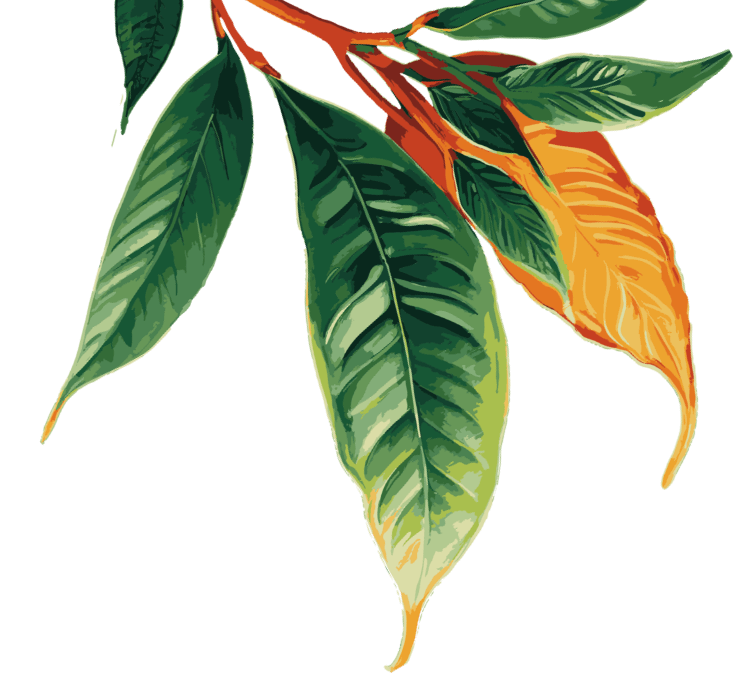 Leaf