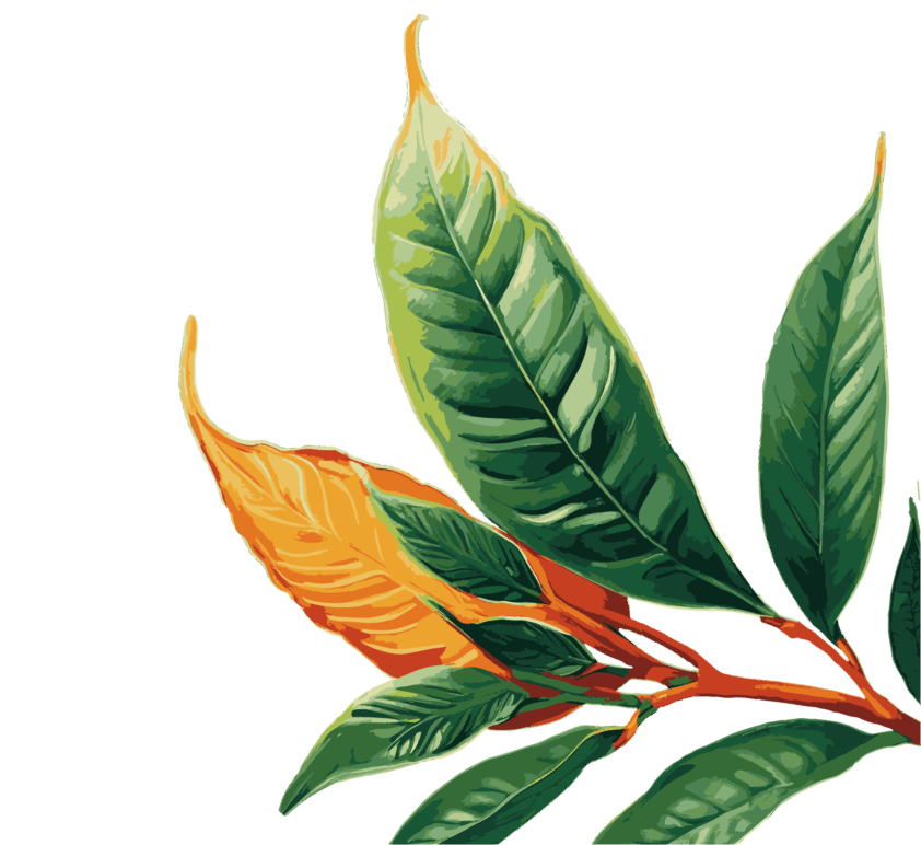 Leaf 2