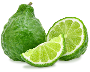 Zesty Bergamot
