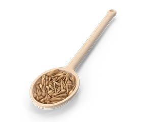 Malty