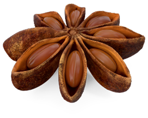 Spiced
