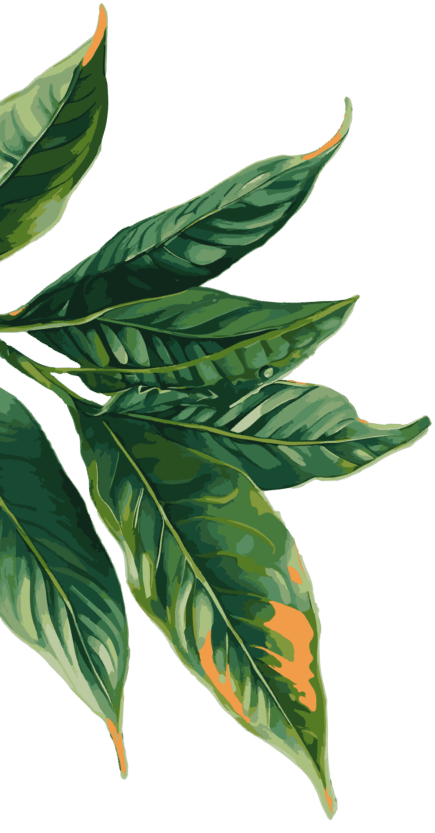 Tea Leaf
