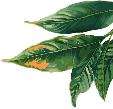 Tea Leaf