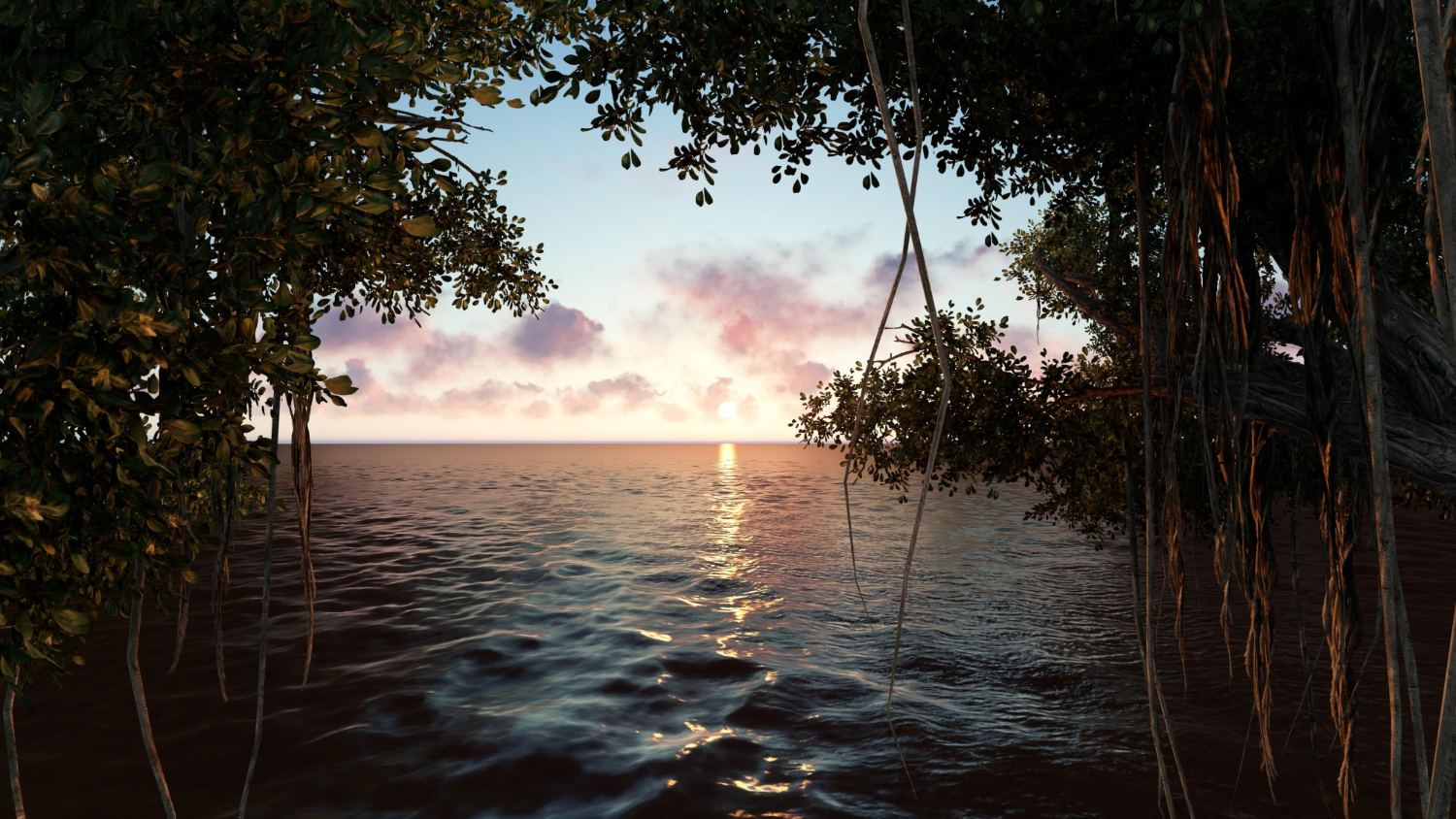 Sunset over mangrove roots, looking toward the future of the project