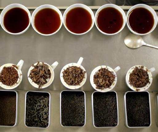 Tea for tasting