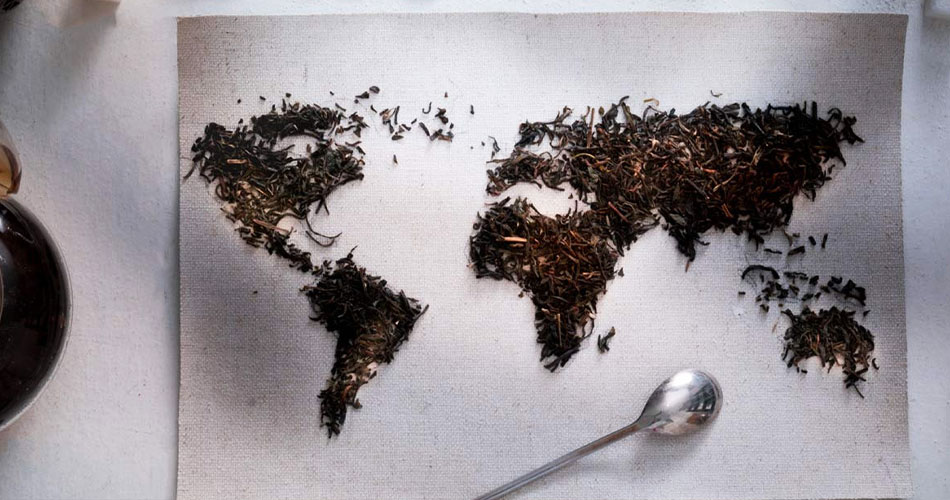 The world of tea