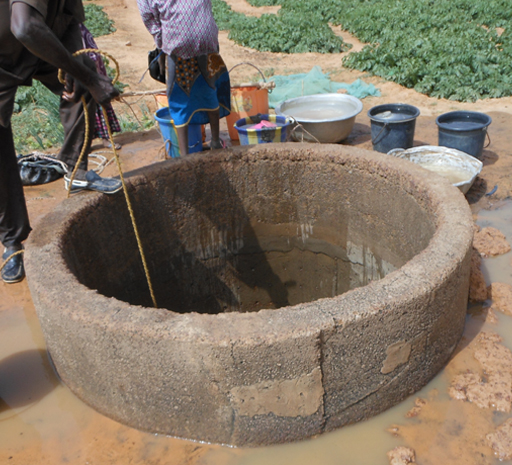 Rebuilding water-holes & educating local authorities