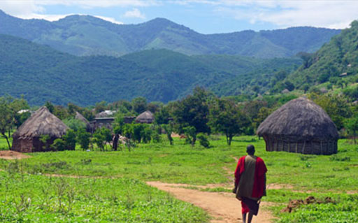 Tanzania Village