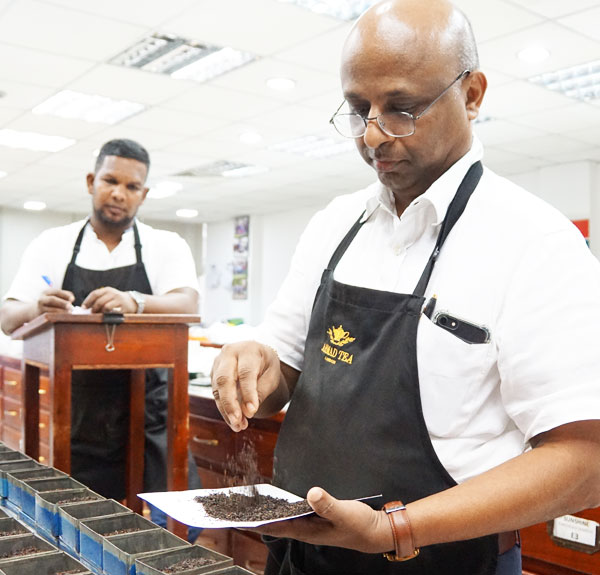 Ahmad Tea Sri Lanka