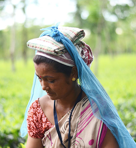 In January 2020, we launched Assam’s Antenatal & Postnatal Support programme to give pregnant women and newborn babies in the Golaghat district of Assam, access to health, nutrition, water and sanitation services