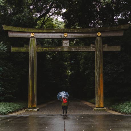 Meiji-jingu---Michal-Pechardo