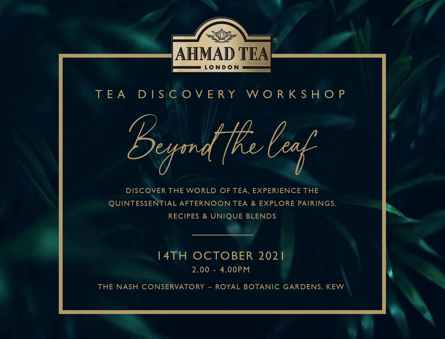 Discover the world of tea,experience the quintessential afternoon tea & explore pairings.