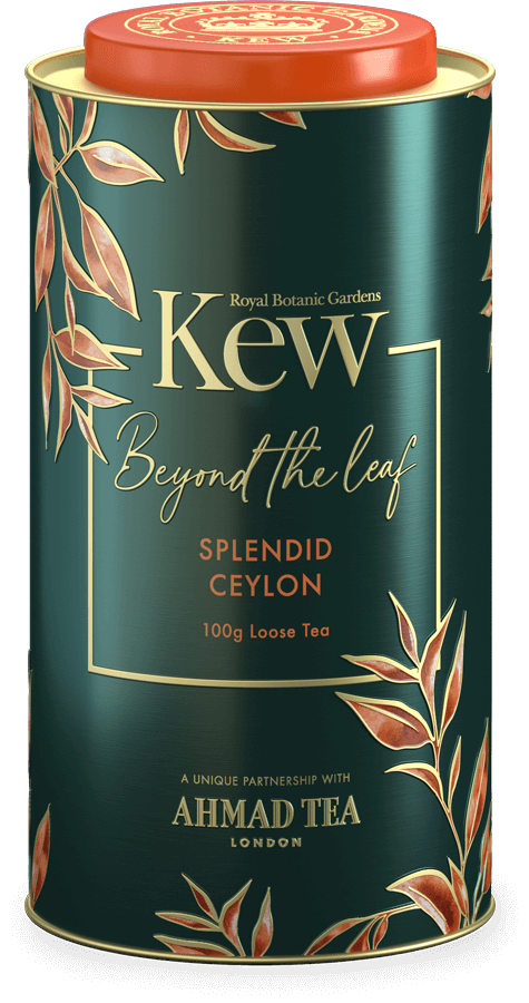 Buy Ahmad Tea Splendid Ceylon tea