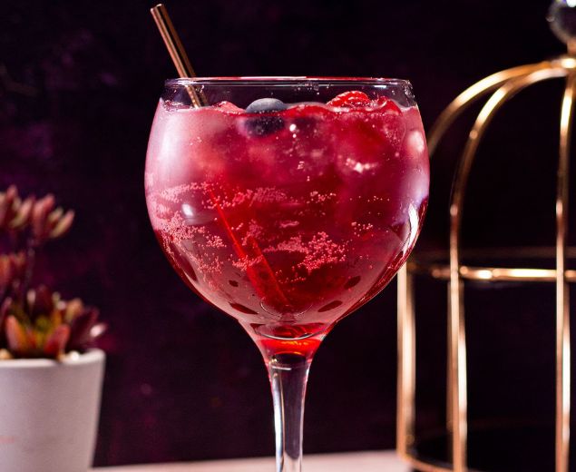 Mixed Berries & Tonic