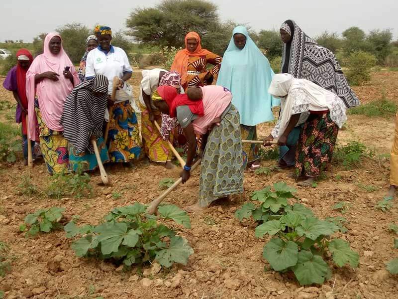Oxfam Niger water project