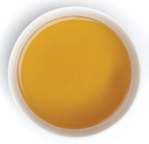 Picture is of a white tea cup containing a golden colour liquid, which shows the strength of Jasmine tea