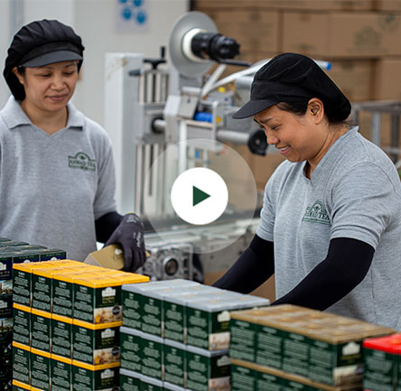 The Flagship Tea Factory