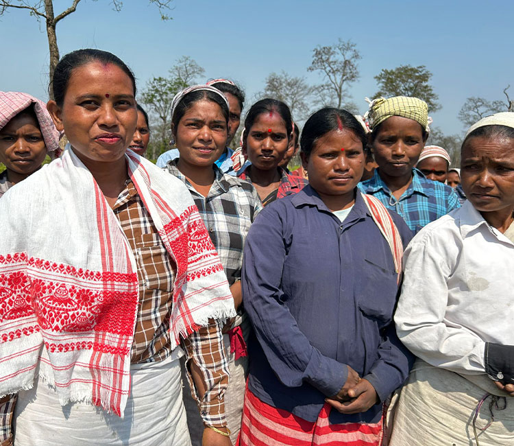 Ahmad Tea working with the Child in Need Institute (CINI) to support tea plantation workers and their families