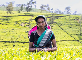 Empowerment to the women in our supply chain