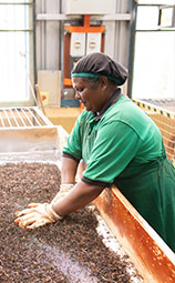 Empowerment to the women in our supply chain
