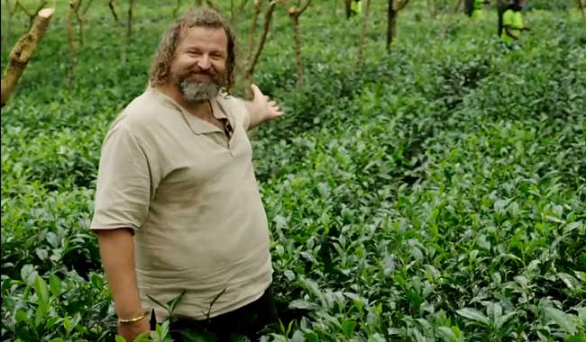 Josef-Tea-Garden