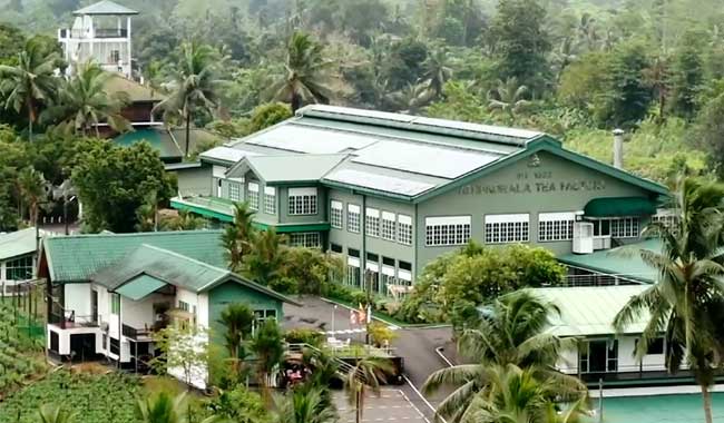Tea-Factory