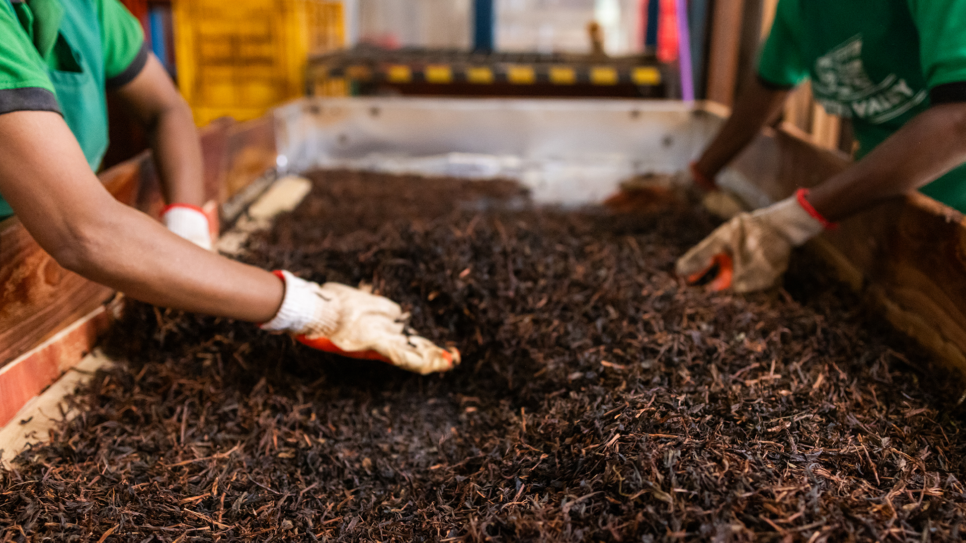 Sustainable tea production