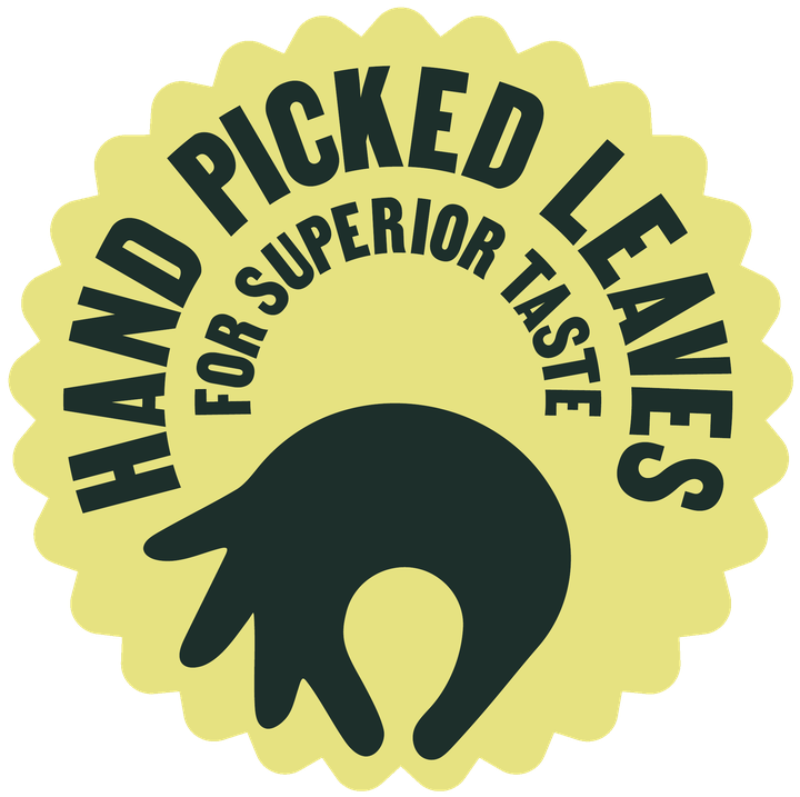 Hand picked leaves for superior taste